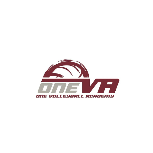 One Volleyball Academy