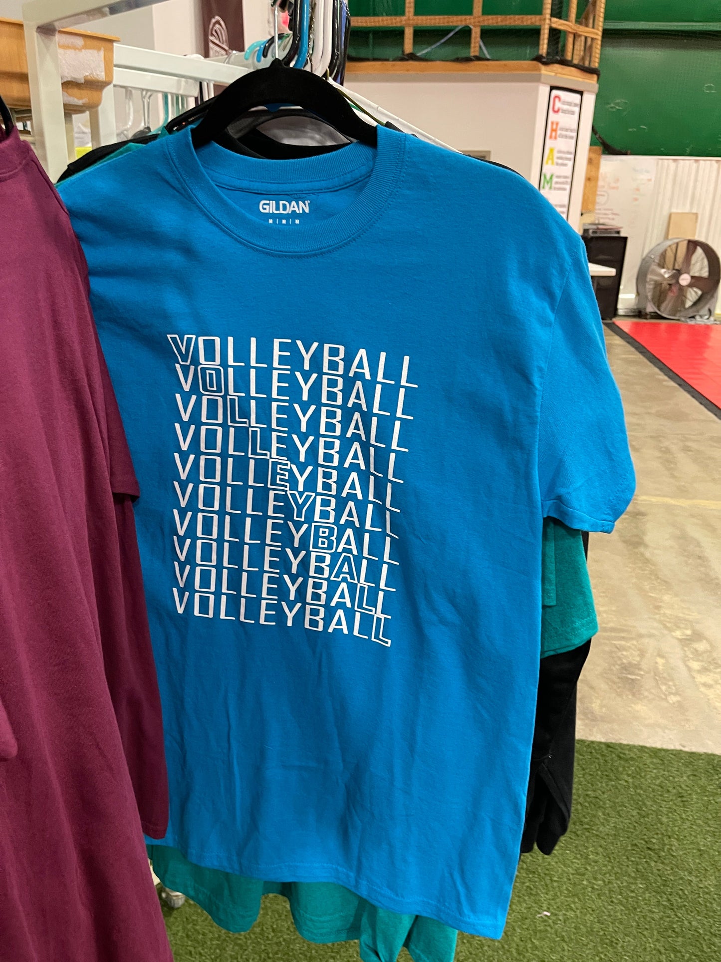 Volleyball Tee- adult
